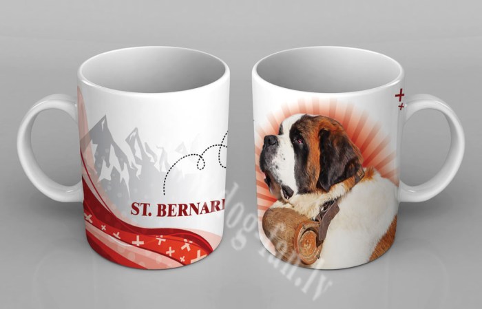 stbernardcup copy